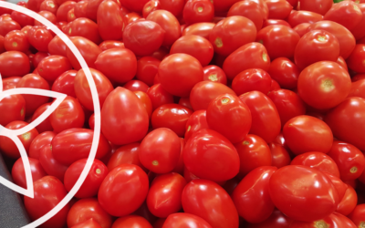 ¿Por qué deberíamos comer tomate?