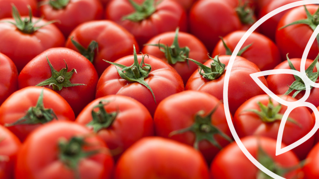 Platos con tomate ricos y perfectos para verano